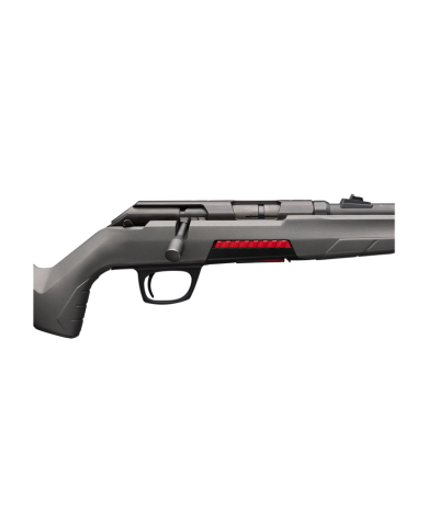 WINCHESTER XPERT 18" 22 LR 10CPS