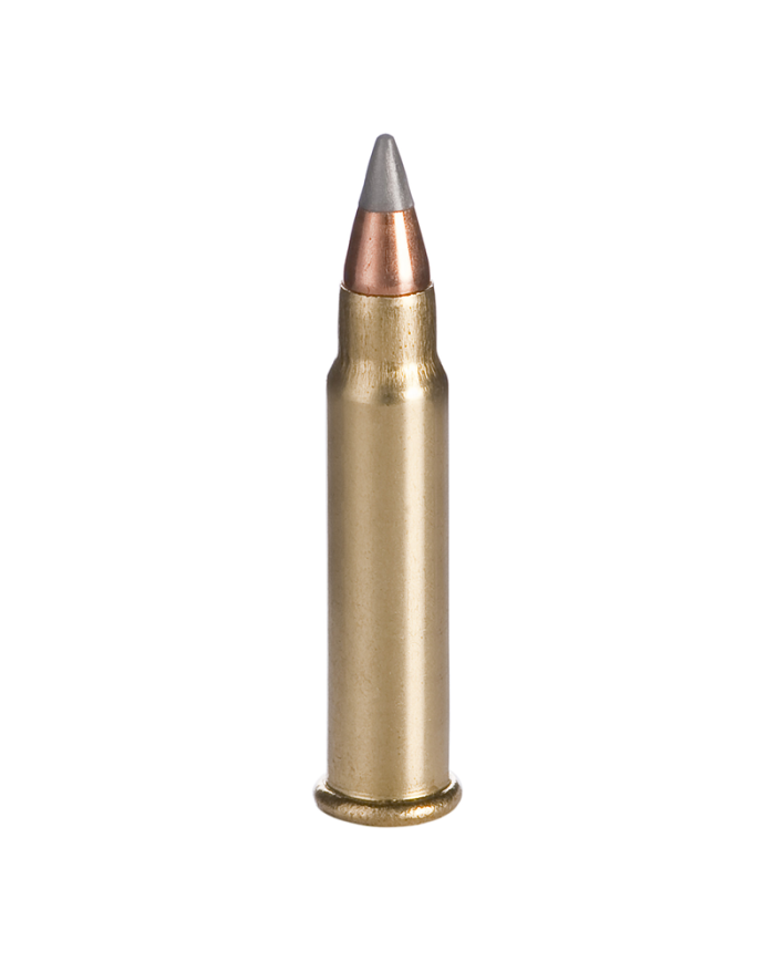 WINCHESTER 17 HMR VARMINT HV 17GR X50