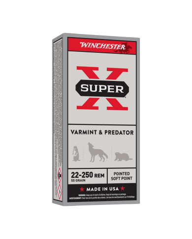 WINCHESTER 22-250 REM POWER POINT 55GR X20