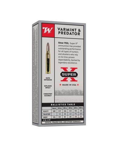 WINCHESTER 22-250 REM POWER POINT 55GR X20