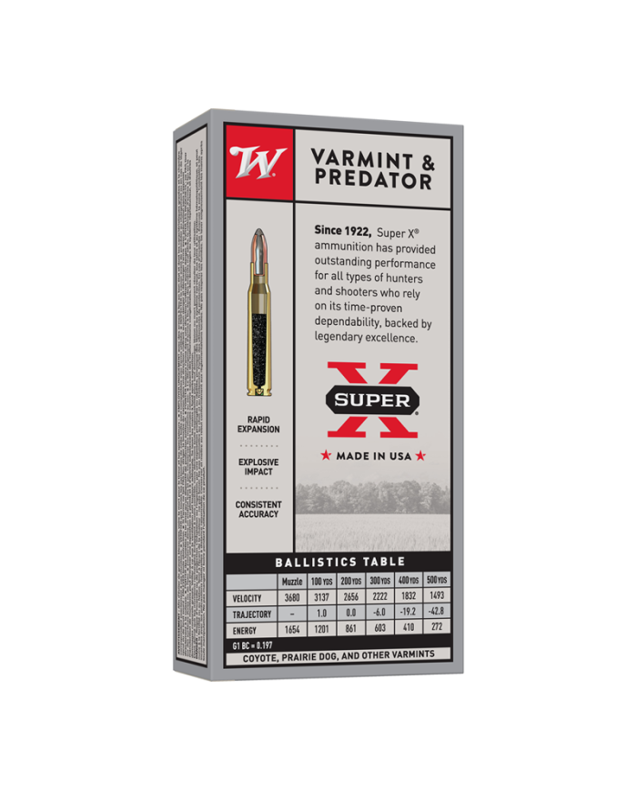 WINCHESTER 22-250 REM POWER POINT 55GR X20