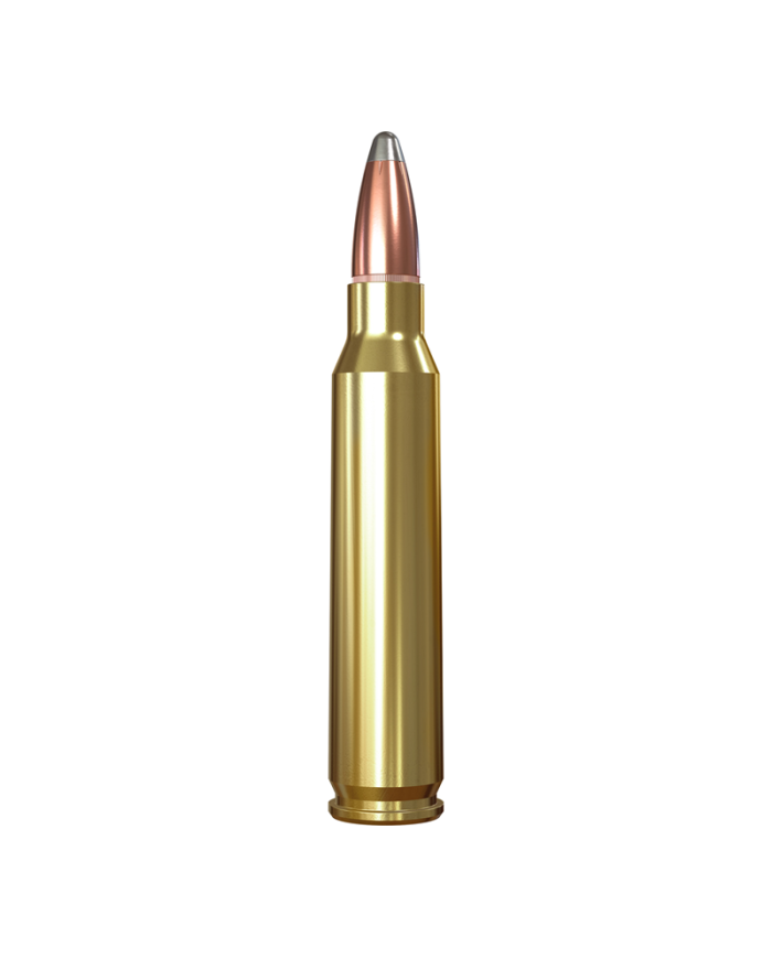 WINCHESTER 22-250 REM POWER POINT 55GR X20