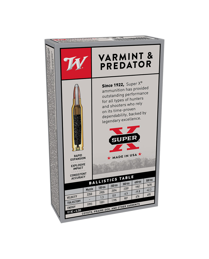 WINCHESTER 243 WIN POWER POINT 80GR X20