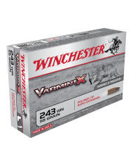 WINCHESTER 243 WIN POWER POINT 80GR X20