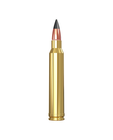 WINCHESTER 300 WIN MAG EXTREME POINT 150GR X20