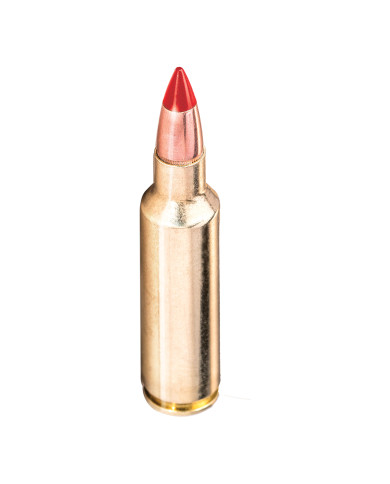 WINCHESTER 300 WIN MAG EXTREME POINT COPPER IMPACT 150GR X20