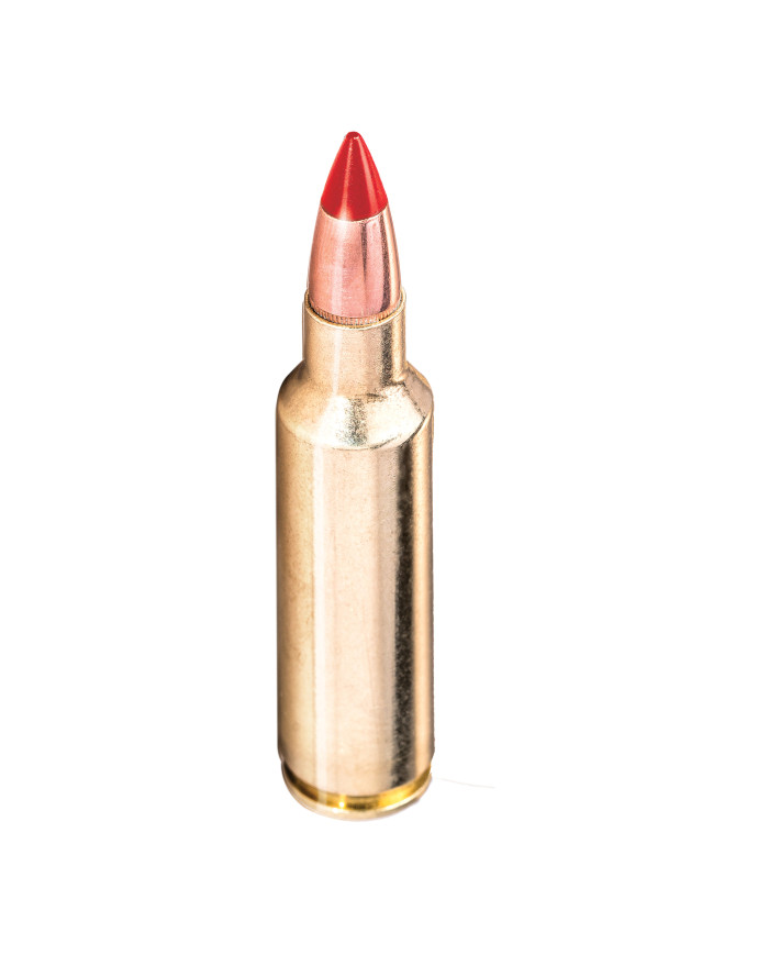 WINCHESTER 300 WIN MAG EXTREME POINT COPPER IMPACT 150GR X20