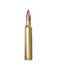 WINCHESTER 300 WIN MAG POWER POINT 180GR X20